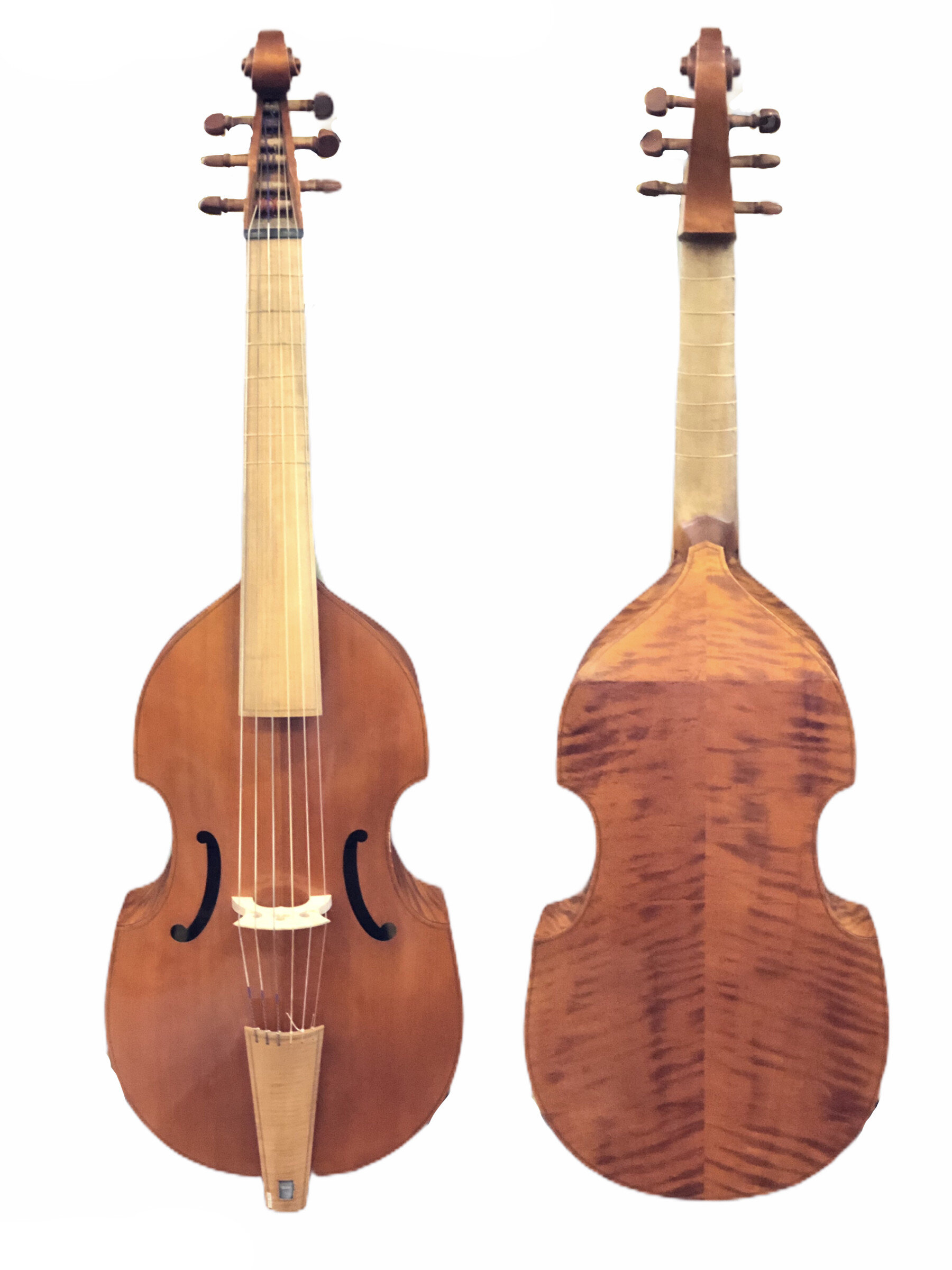 Iesta Workshop Six-String Bass Viol — Terra Nova Violins - The 
